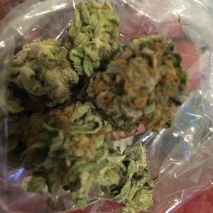 Meet your Posher, Malik